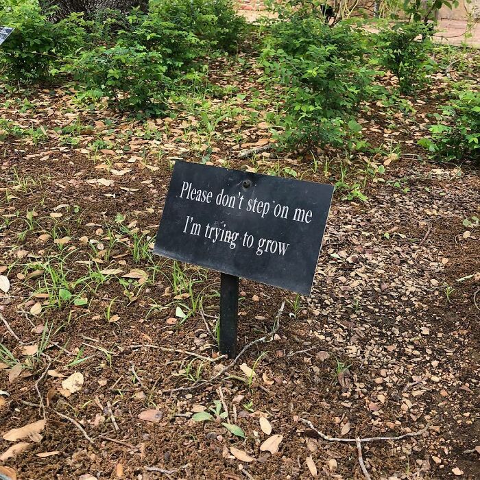 Nonsense-Pics-Memes-Emotionalclub