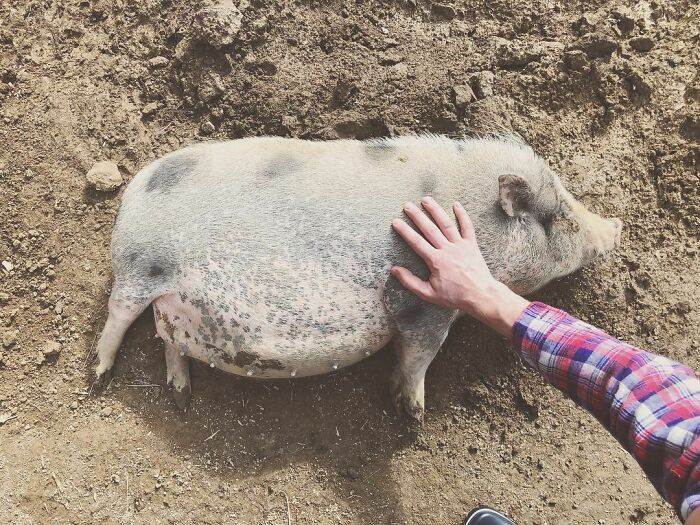 Our Firstborn Is All Grown Up And Soon To Become A Mummy Too