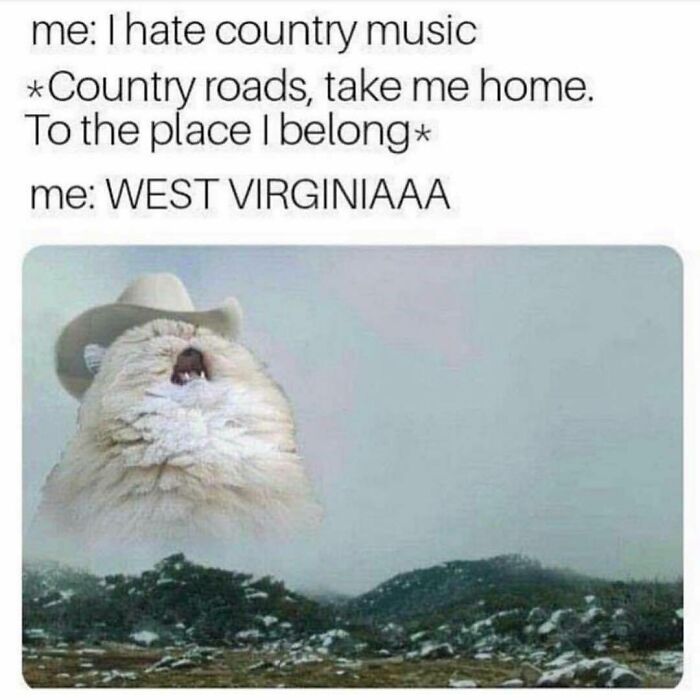 Funny-Questionable-Tweets