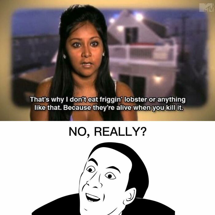 Funny-Questionable-Tweets