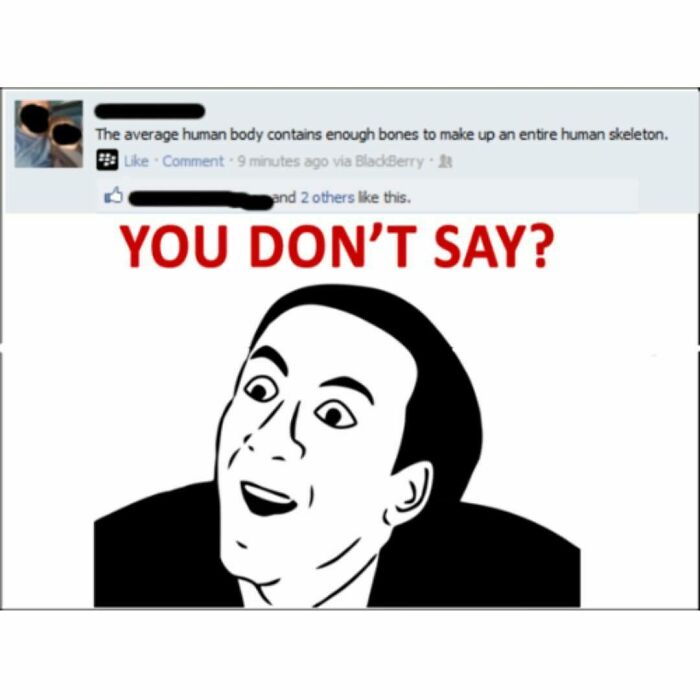 Funny-Questionable-Tweets