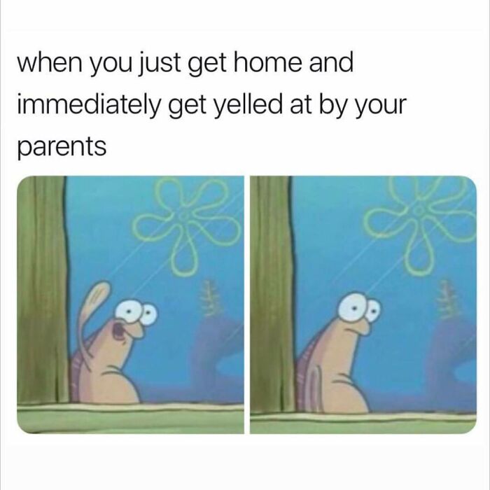 Funny-Questionable-Tweets