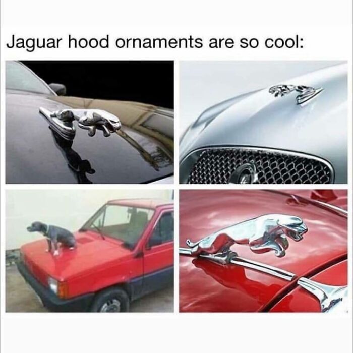 Funny-Questionable-Tweets