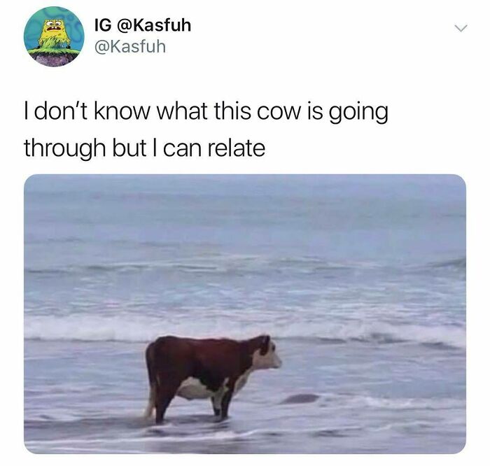 Funny-Questionable-Tweets