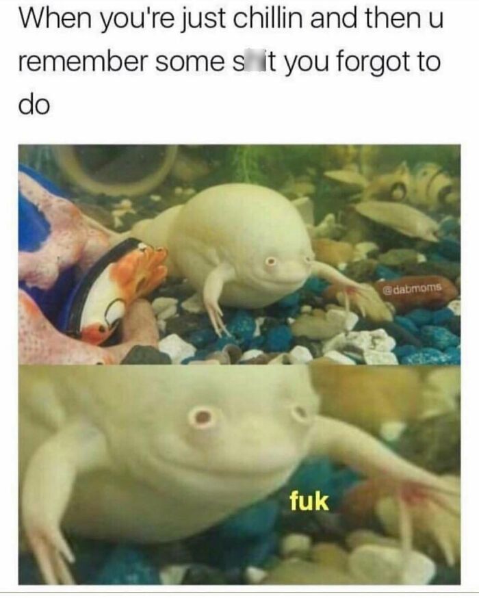 Funny-Questionable-Tweets