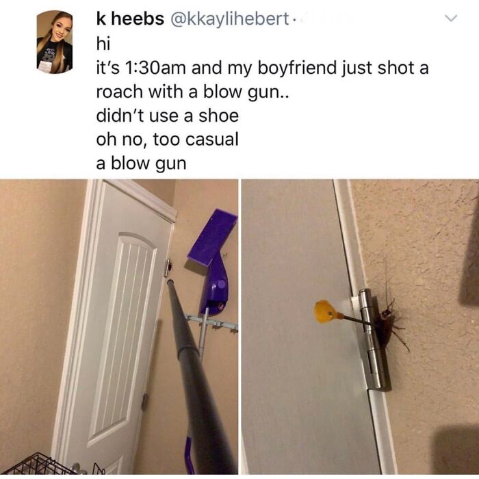 Funny-Questionable-Tweets