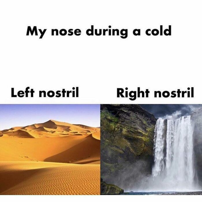 Funny-Questionable-Tweets