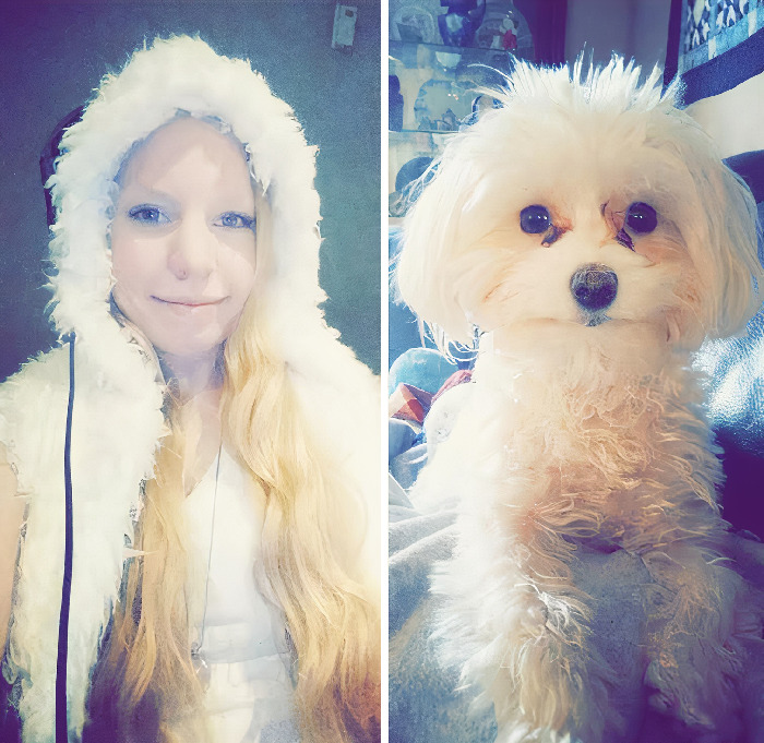 They Say Dog Owners Look Like Their Dogs