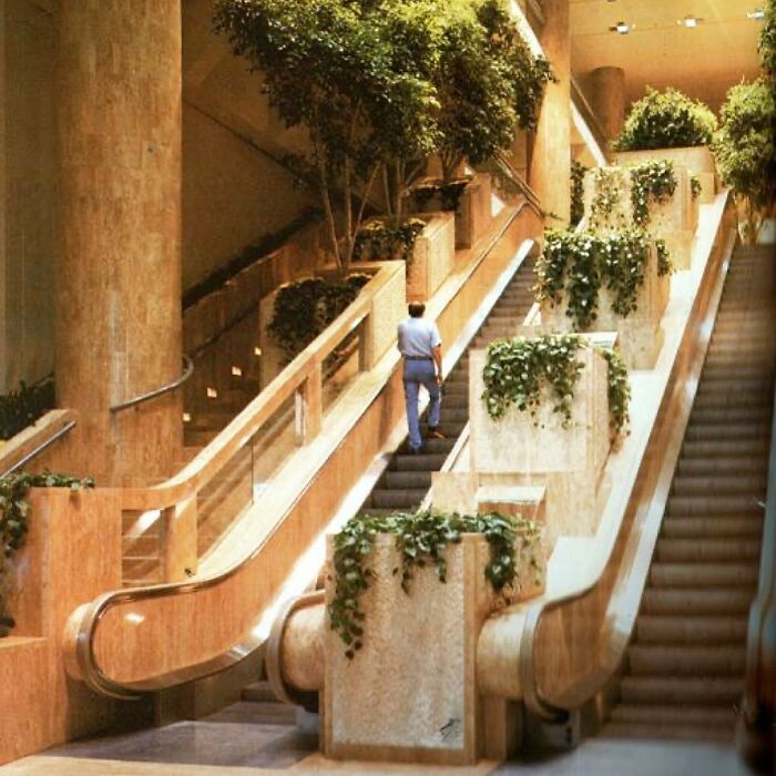 Mall 1981