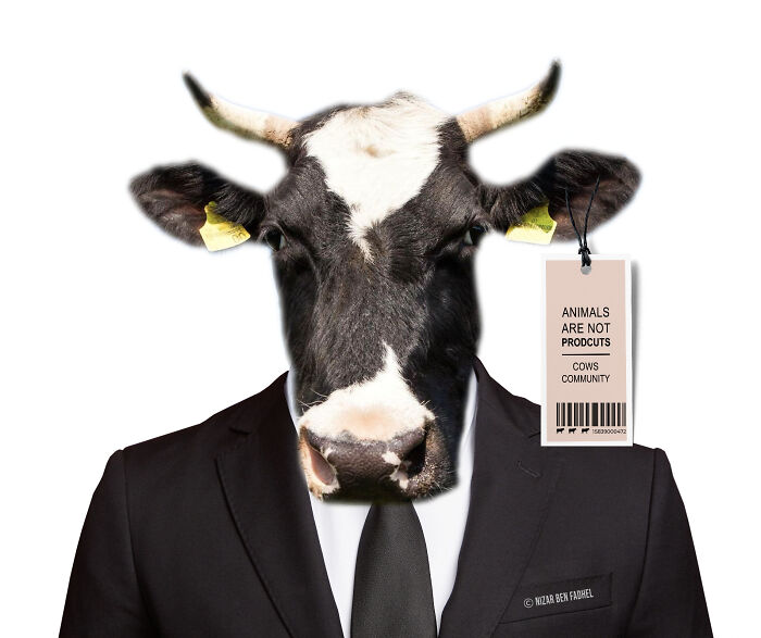 Animals Are Not Products (6 Pics) Animals Are Not Products (6 Pics)