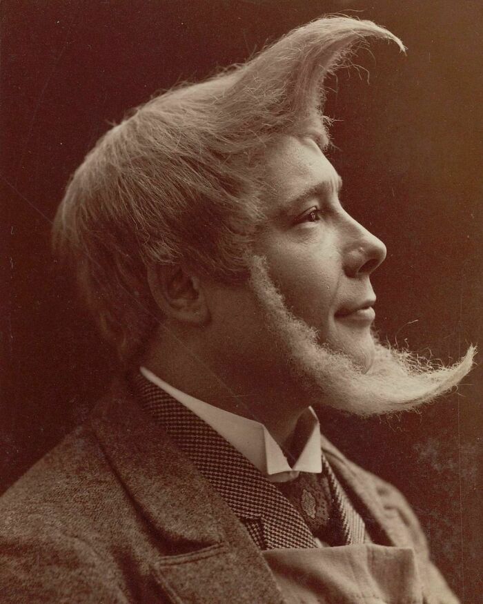 A Portrait Of An Interesting Hair Style From 1894