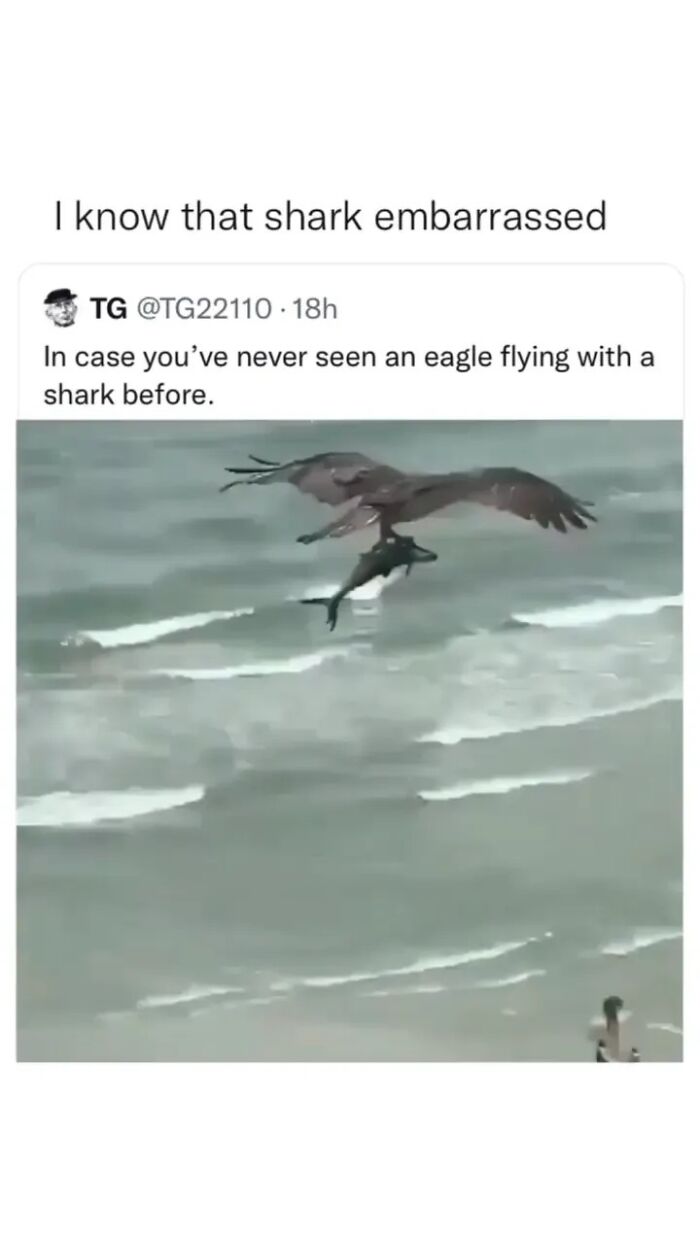 Funny-Bad-Science-Jokes-Memes