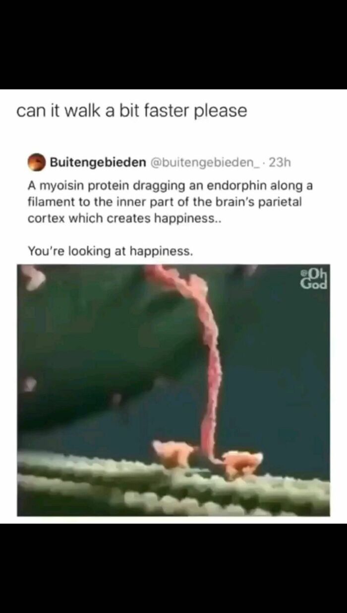 Funny-Bad-Science-Jokes-Memes