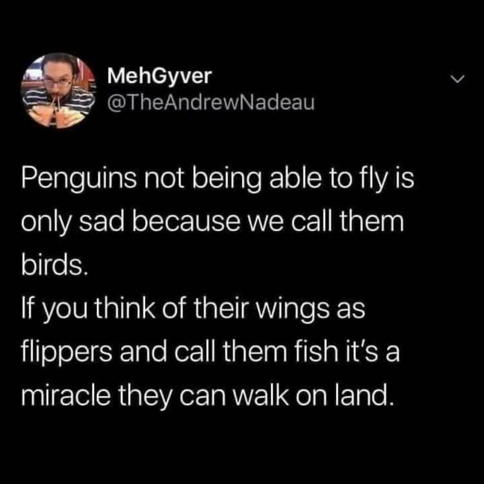 Funny-Bad-Science-Jokes-Memes