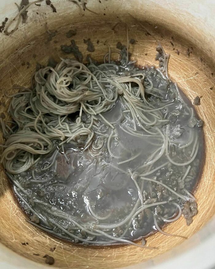 Tuve que dejarlo todo para publicar la cena de mi novia