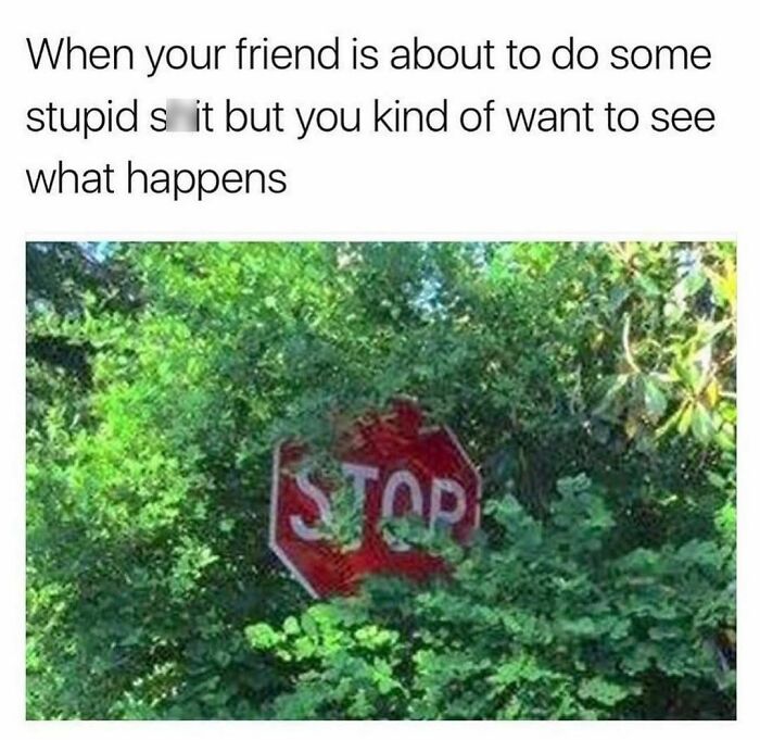 Freud-Intensifies-Memes