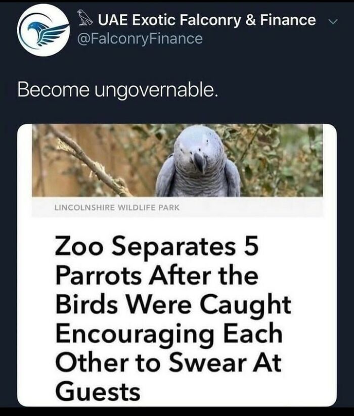 Funny-Bad-Science-Jokes-Memes