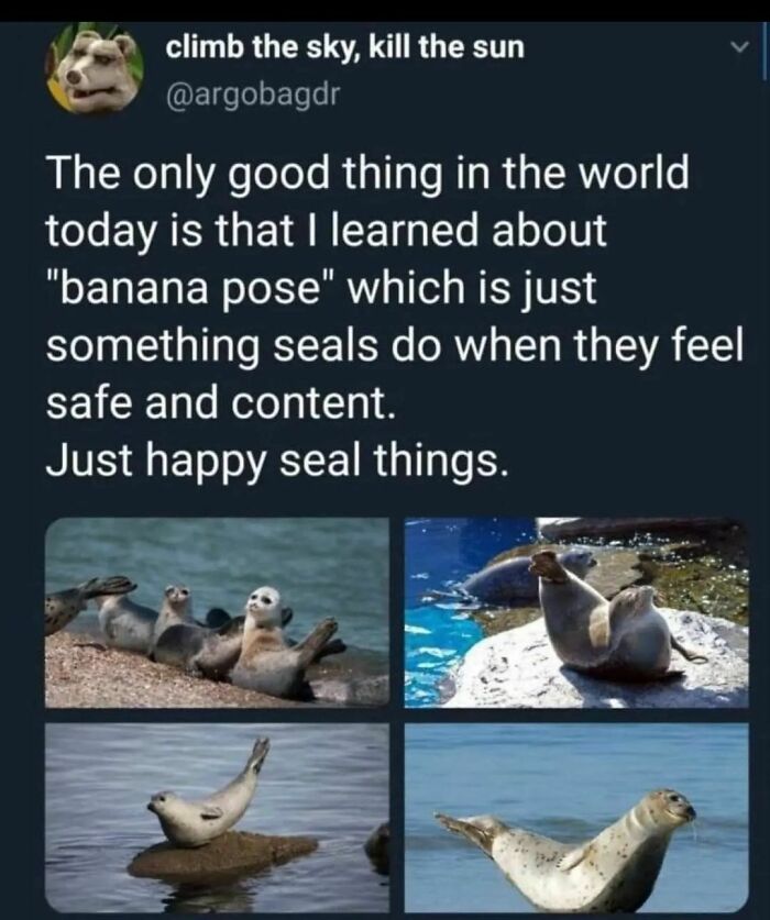 Funny-Bad-Science-Jokes-Memes