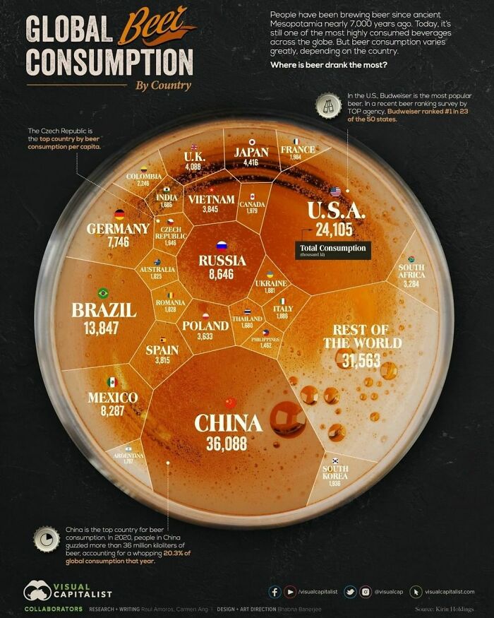 Visualizing Which Countries Drink The Most Beer Humans Have Been Drinking Beer For Thousands Of Years