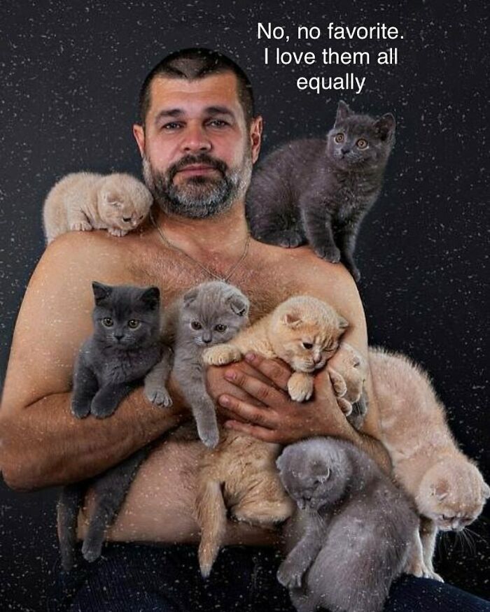 Ordinary-People-Memes