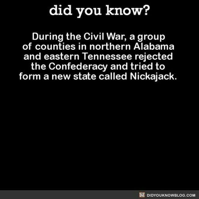 Learn-New-Facts-Did-You-Know