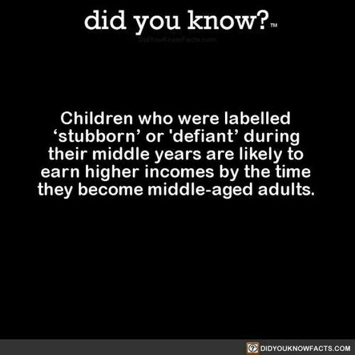 Learn-New-Facts-Did-You-Know