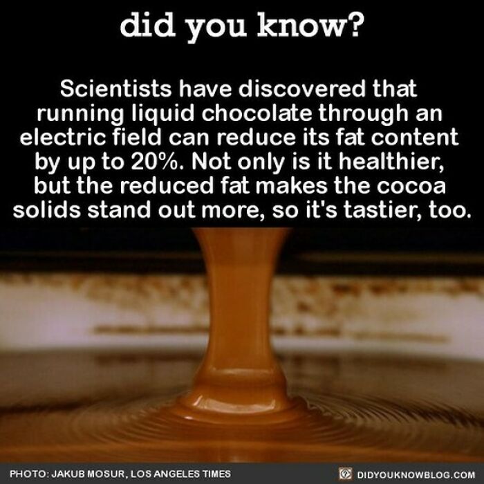 Learn-New-Facts-Did-You-Know