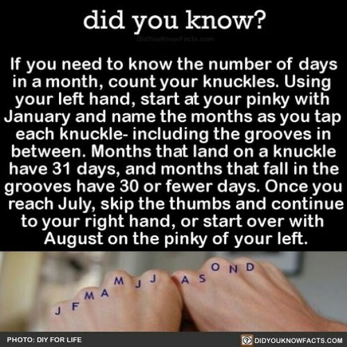 Learn-New-Facts-Did-You-Know