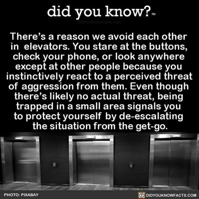 Learn-New-Facts-Did-You-Know