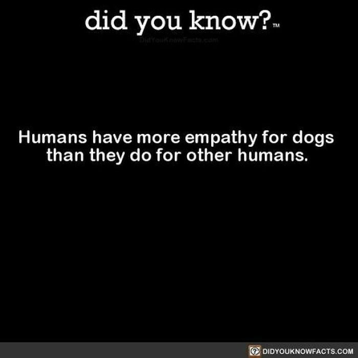 Learn-New-Facts-Did-You-Know