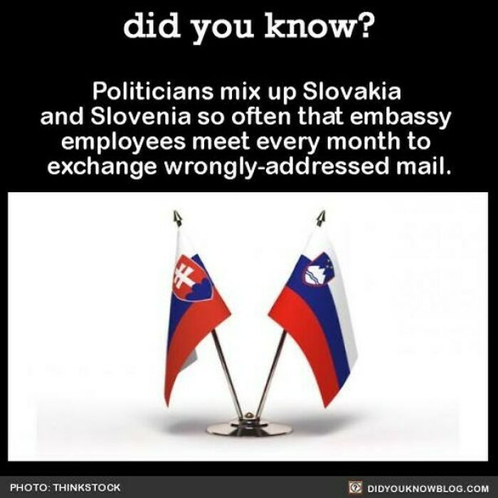 Learn-New-Facts-Did-You-Know