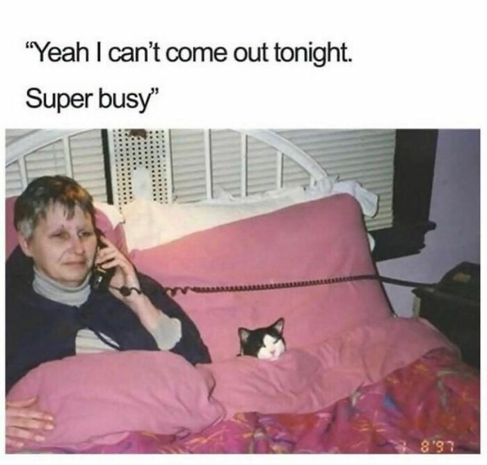 Freud-Intensifies-Memes