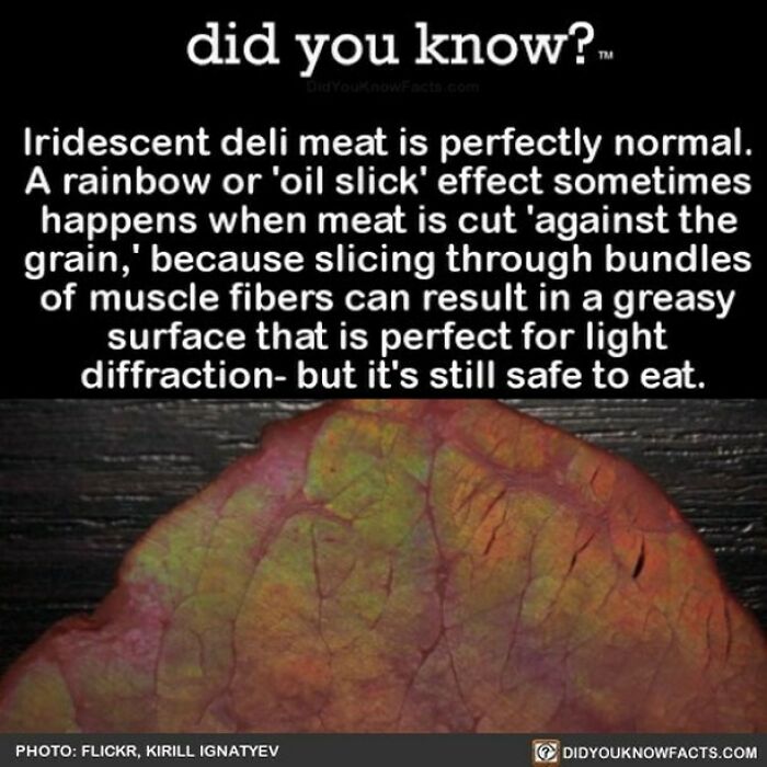 Learn-New-Facts-Did-You-Know