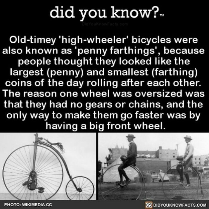 Learn-New-Facts-Did-You-Know