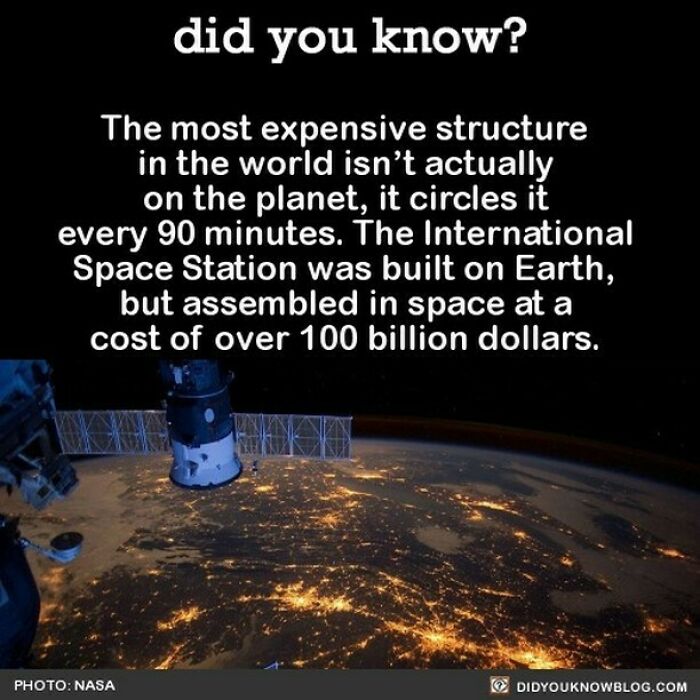 Learn-New-Facts-Did-You-Know