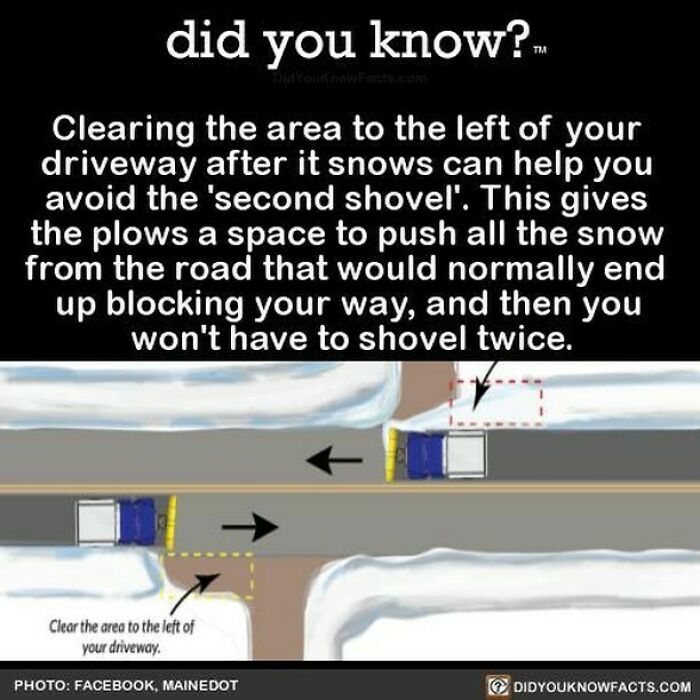 Learn-New-Facts-Did-You-Know