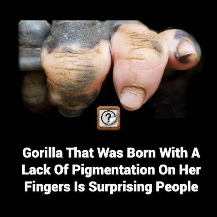 Learn-New-Facts-Did-You-Know