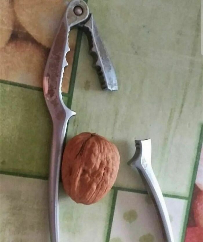 Freud-Intensifies-Memes