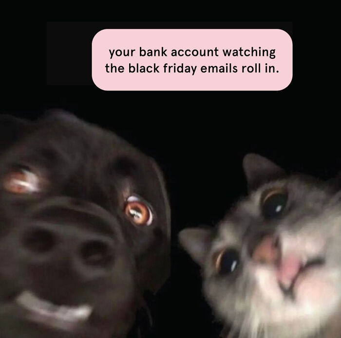Black-Friday-Memes