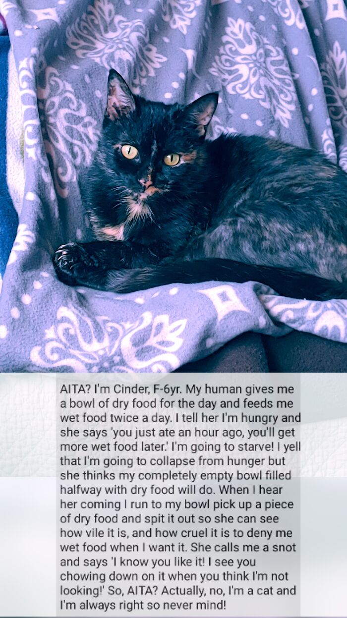 I Wish I Could Understand Her Thought Process