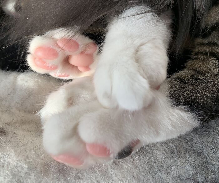 Millie And Gene’s Homemade Bean Salad