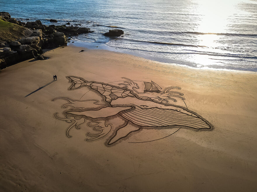 Baleine Fossile