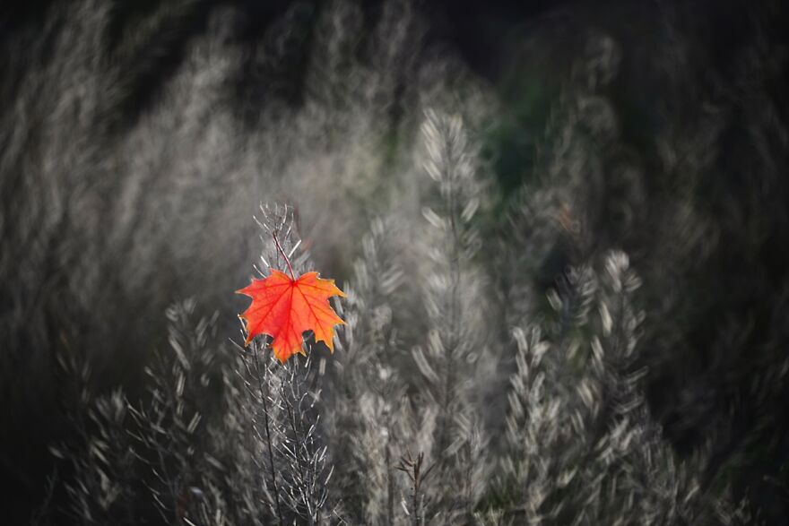 Nature Is Beautiful!