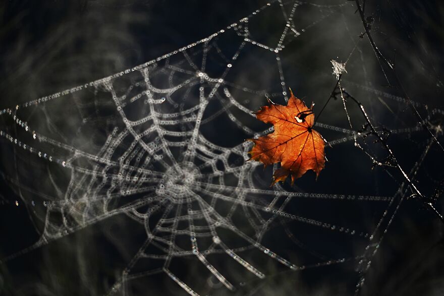 Nature Is Beautiful!