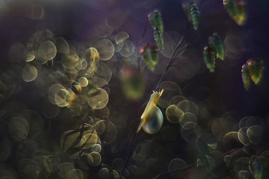 Nature Is Beautiful!