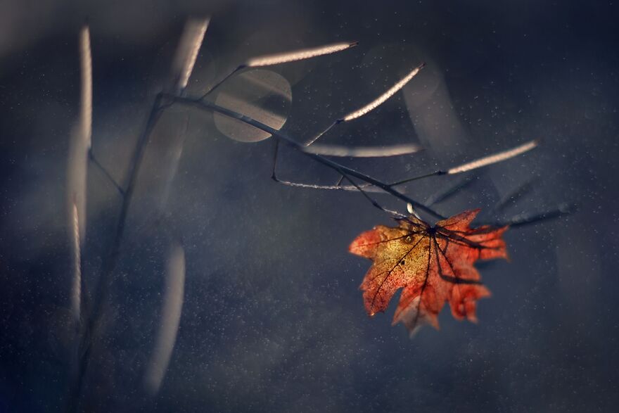 Nature Is Beautiful!