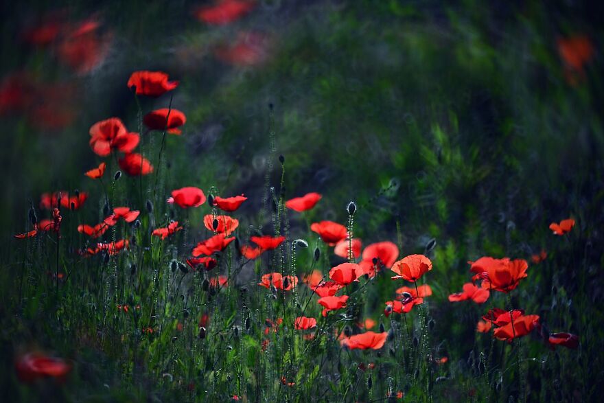 Nature Is Beautiful!