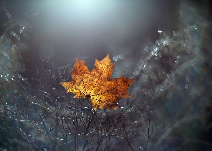 Nature Is Beautiful!