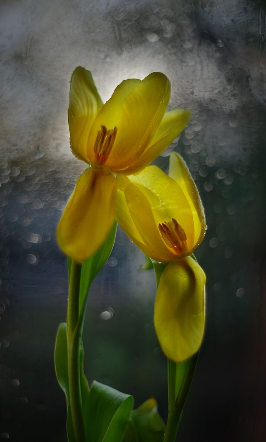 Nature Is Beautiful!