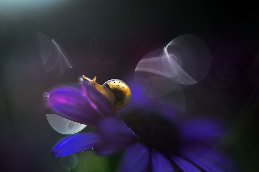 Nature Is Beautiful!